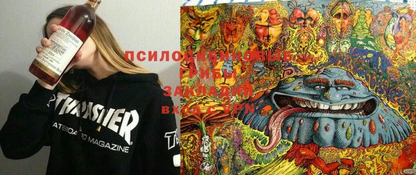 эйфоретик Арсеньев