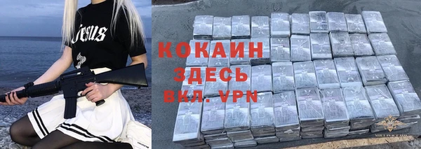 эйфоретик Арсеньев